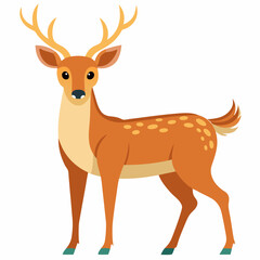 Deer on white background



