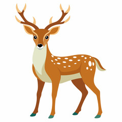 Deer on white background



