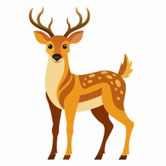 Deer on white background



