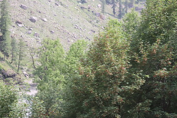 Mountains