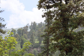 Obraz premium Mountains