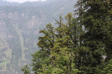 Mountains