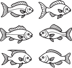 Naklejka premium Six Detailed Line Drawings of Various Fish Species Perfect for Educational Resources, Illustrations, and Designs