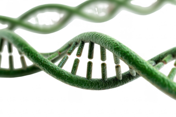 DNA structure, 3D view, scientific illustration