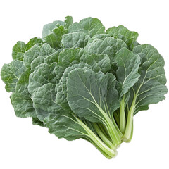 Naklejka premium Kale leaves isolated on transparent background. generative ai.