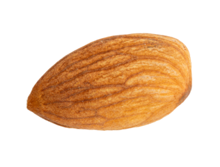 The High-resolution photo of almonds taken with a focus stacking technique.