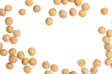 The High-resolution photo of soybeans, isolate on white background