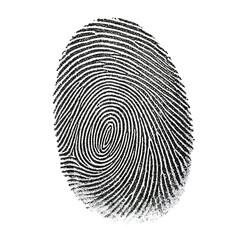 Detailed White Fingerprint Impression on Black Background A I G E N E R A T E D - P N G isolated on a transparent background 2