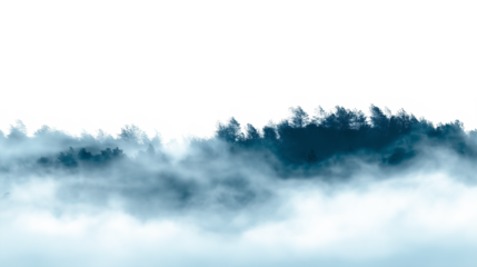 fog in the mountains