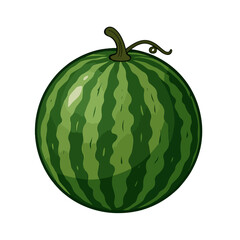 watermelon vector illustration