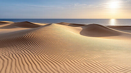 Naklejka premium Golden hour illuminates rolling dunes by shoreline, creating serene landscape