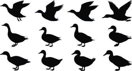 Fototapeta premium Silhouette depictions of ducks in various poses on a white background