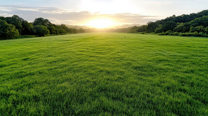 Obraz premium Lush green grassland stretches under vibrant sunset, creating serene and peaceful atmosphere