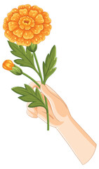 Hand Holding Vibrant Orange Marigold Illustration