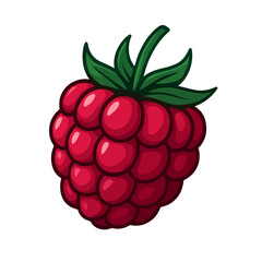 raspberry fruit vector illustration