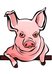 illustration of a pig leaning on a bar