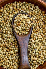 Spice coriander (Coriandrum sativum) seeds in wooden bowl and spoon on wooden background. Indian cuisine, ayurveda