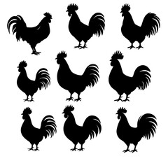 Rooster and Chicken Silhouettes Set – Black Vector Hen Artwork of Domestic Farm Birds