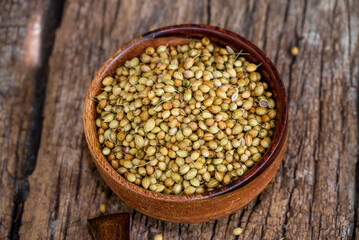 Spice coriander (Coriandrum sativum) seeds in wooden bowl and spoon on wooden background. Indian cuisine, ayurveda