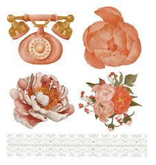 Peony rose house illustration watercolor isolated sticker set green leaves