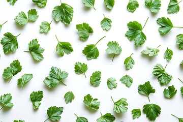 Vibrant Green Parsley Leaves Pattern White Background Fresh Herb Cooking Ingredient