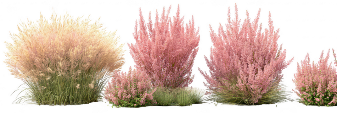 Pink & Beige Grassy Plants