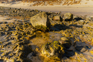 rock