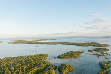 Coastline with narrow waterways surrounded by dense green mangroves. Olango Island Wildlife...