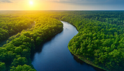 Serene Sunset River Winding Through Lush Green Forest