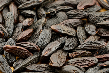 closeup pile of tonka bean food background texture