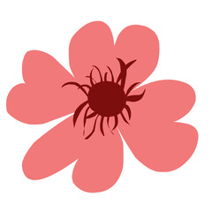 pink flower vector with flat design