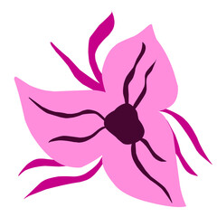 pink purple pastel flower isolated on transparent background
