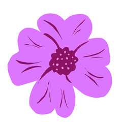 purple pastel dahlia flower in transparent background
