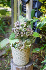 Fresh succulent or cactus in flowerpot decorated in tropical garden