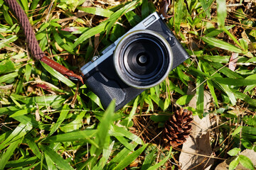 Vintage mirrorless camera and pine cone on green lawn grass in natural sunlight shining day in garden