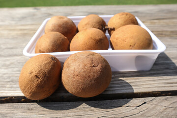 Sapota fruit or Chikoo fruit, sweet in taste. Sapodilla is tropical fruit with seed inside
