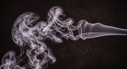 A delicate dance of smoke unfurls against a stark black backdrop creating ethereal patterns and shapes