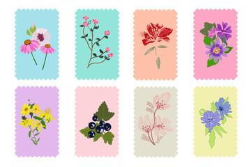 Set di cornici con ricamo colorate con fiori di campo misti disegnati a mano