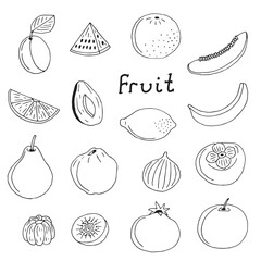 Fruit doodle set, hand drawing, vector illustration