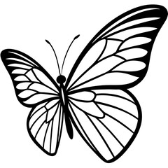 Close-Up Butterfly Wing with Delicate Vein Structure – Smooth Edge Line Art