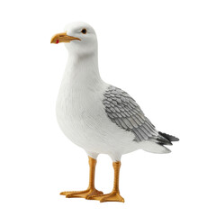 A detailed, realistic model of a seagull, featuring white and grey plumage with a yellow beak and legs, standing upright. Ideal for educational materials or coastal themed designs.
