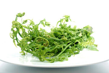 Fiddlehead Fern resting on a white background. Is a vegetable that is eaten in the young shoots.		