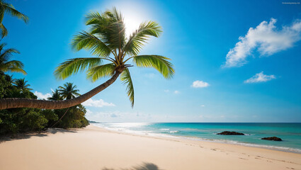 Obraz premium Pristine tropical shoreline featuring iconic palm in sunlight