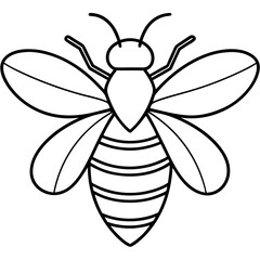 Simple Bee Outline with Wings and Stripes – Parallel Line Illustration