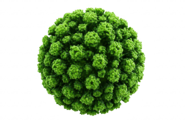 Green spherical virus structure