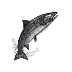Vintage Engraving Style Salmon Leaping Illustration