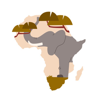 African Nature Animal Elephant