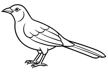 Fototapeta premium Minimal Bowerbird Line Silhouette Art