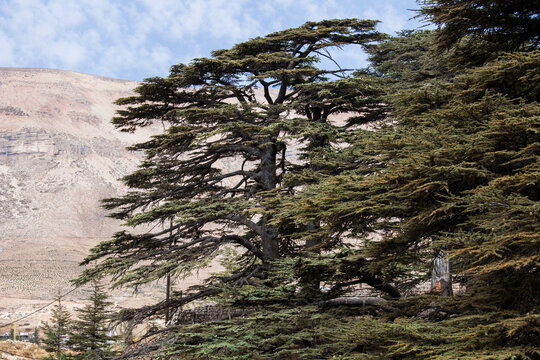 Lebanon
