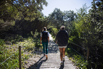 Hikers walking on wooden elevated path in forest preserve